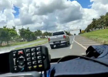 PRF apreende 1,6 tonelada de maconha e prende motorista em flagrante em Maringá