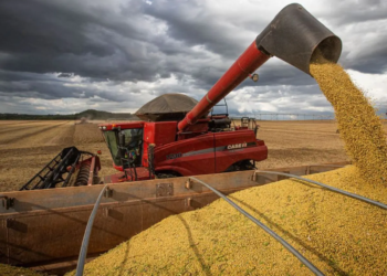 Safra 2025 pode ser 11,1% maior que a do ano passado, diz IBGE