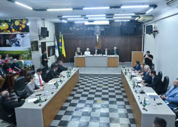 Discursos pela união em prol de Paranavaí marcam primeira sessão ordinária na Câmara de Vereadores