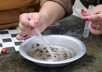 Querência do Norte declara estado de epidemia de dengue e intensifica combate ao mosquito
