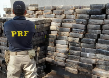 PRF apreende mais de 5 toneladas de maconha dentro de caminhão em Maringá; veja vídeo