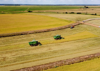 Sistema Faep pede ampliação do Desenrola Rural a todos os produtores