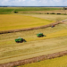 Sistema Faep pede ampliação do Desenrola Rural a todos os produtores
