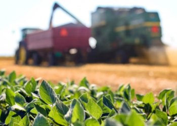 Agronegócio deve puxar a economia e fazer PIB crescer 2,3%, diz Fazenda