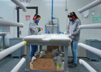 Com 2,66 milhões, Paraná atinge o maior número de mulheres com emprego fixo da história