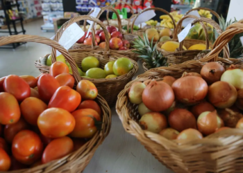 Divulgada pontuação dos projetos apresentados