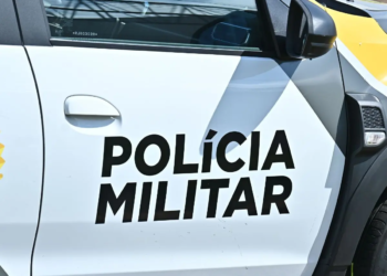 Cinco leitões são furtados de idoso de 73 anos em Guairaçá