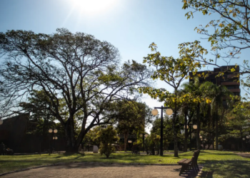 Paranavaí registra a manhã mais gelada do ano nesta segunda-feira
