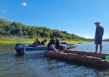 IAT estabelece critérios mais rígidos para pesca em rios no Paraná