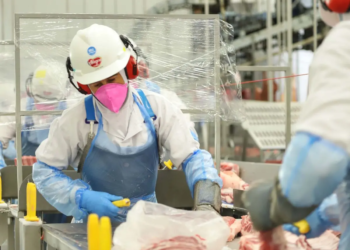 Carne suína, de frango e automóveis: exportações do Paraná saltam em 2025