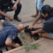 Guarda Municipal resgata filhote de cachorro preso em bueiro no Jardim Morumbi