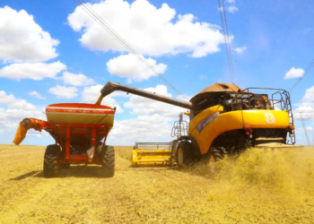Soja registra queda no preço, nesta quarta-feira (23)