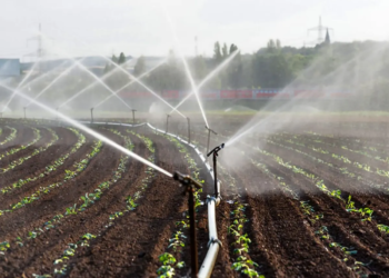 Noroeste elenca prioridades para agricultura irrigada e avança na consolidação do polo regional