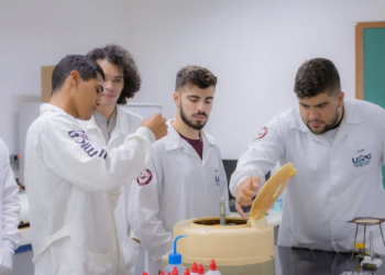 Governo seleciona profissionais para modernizar indústrias; bolsa é de R$ 5,1 mil