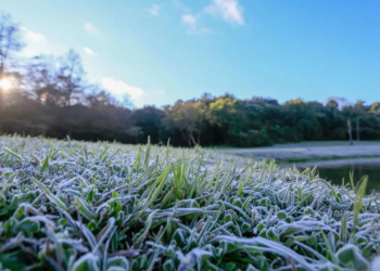 Primeira geada de 2025 é esperada para esta terça-feira