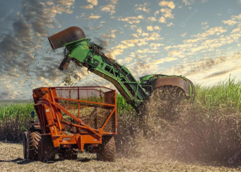 Conab prevê produção de 663,4 milhões de toneladas de cana-de-açúcar