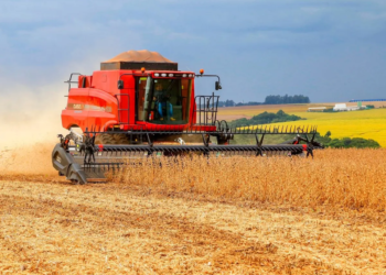 Soja e trigo começam a semana com preços em alta