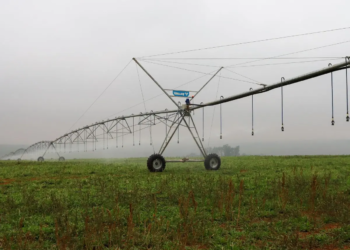 Por meio de portaria, governo federal oficializa o Polo de Agricultura Irrigada do Noroeste do Paraná