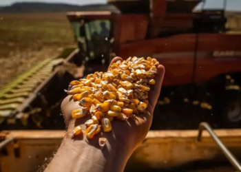 Conab prevê safra de grãos em 332,9 milhões de toneladas