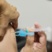 Saúde reforça importância da vacina com circulação de doenças respiratórias