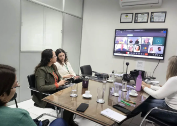 Adapar e Comitê de Sanidade Avícola reforçam protocolos para evitar gripe aviária no Paraná