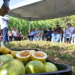 IDR-PR aponta maracujá como alternativa viável para produtores rurais da Região Noroeste