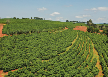 Paraná se mobiliza de forma preventiva