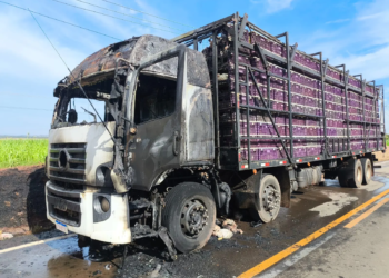 Caminhão carregado com galinhas pega fogo na PR-576 e cabine fica destruída