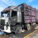 Caminhão carregado com galinhas pega fogo na PR-576 e cabine fica destruída