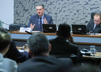 Ministério anuncia que foco de gripe aviária está contido