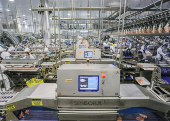 Paraná é o terceiro estado que mais gera empregos em 2025