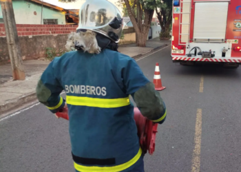 Bombeiros atendem ocorrência de vazamento de gás em residência de Nova Esperança