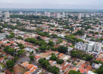 Paraná tem crescimento de 21,35% no saldo de empresas nos 5 primeiros meses de 2025