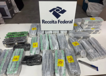 Receita Federal apreende dois mil frascos de anabolizantes contrabandeados