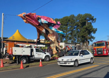 Alerta: soltar balões é crime, causa danos à rede elétrica e coloca vidas em risco