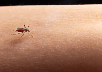 Entenda como o monitoramento de águas residuais pode ajudar a controlar a epidemia