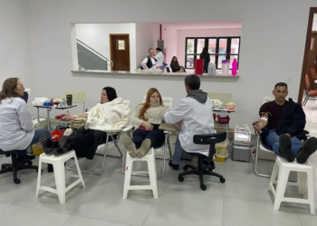 “Hemepar vai até você”: Paraná conta com serviço de coleta de bolsas de sangue