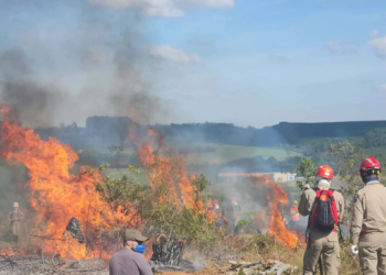 Risco de incêndios no campo aumenta nesta época