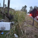 Caminhão capota após sair da pista na PR-492 em Paranavaí