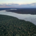 Bacia do Paraná perde 31% da vegetação nativa em 37 anos