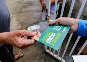 Paraná registra mais 1.535 casos e quatro óbitos por dengue