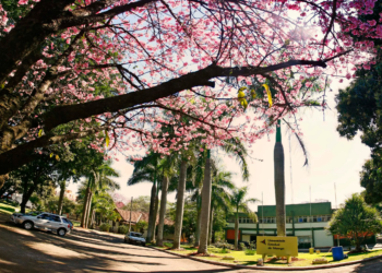 UEM abre seleção para professores com salários de até R$ 10 mil