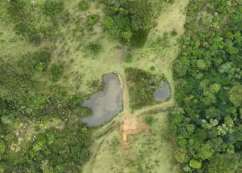 Projeto de proteção de microbacias no campo visa garantir segurança hídrica