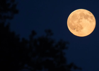 Fenômeno “Lua do veado” poderá ser visto no céu de Paranavaí e região nesta quinta