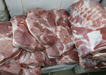 Estado tem melhor semestre desde 1997 em exportações com 110,7 mil toneladas