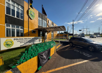 Adolescente de 15 anos é apreendido com 408 kg de maconha em carro roubado