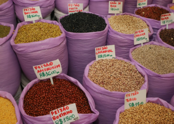 Paraná confirma novo recorde e liderança nacional na produção de feijão