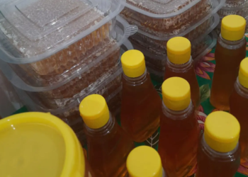 Cooperativa de Alto Paraná recebe certificado para a venda de produtos em todo o estado