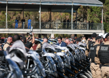 Homicídios e roubos despencam em 2024; Paraná figura entre os mais seguros do Brasil