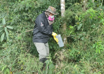 Reforçada vigilância e prevenção de agravos ligados a animais